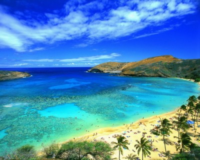 "Ha eljutnék Hawaiira, rögtön boldog lennék!"