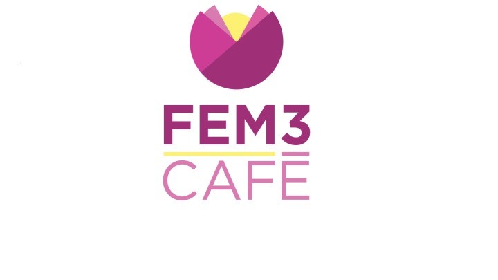 FEM3